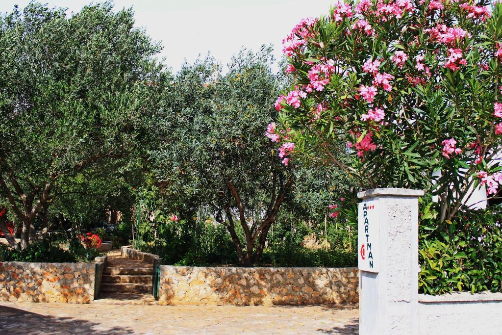 זאדאר Apartments Silvana Sunset View מראה חיצוני תמונה