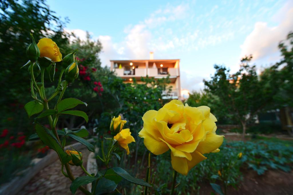 זאדאר Apartments Silvana Sunset View מראה חיצוני תמונה